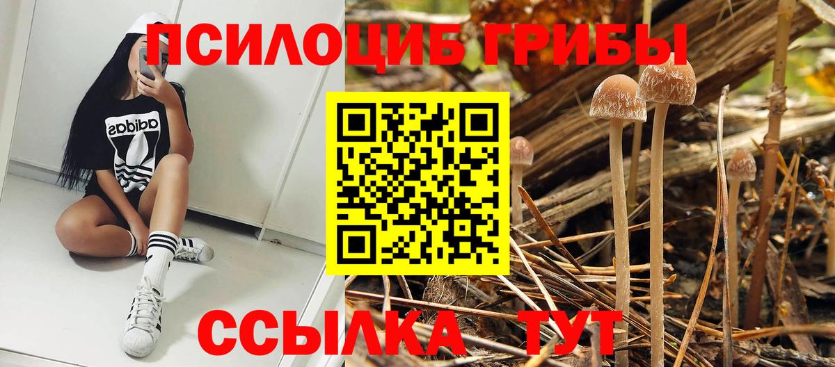 Псилоцибиновые грибы MAGIC MUSHROOMS Энгельс