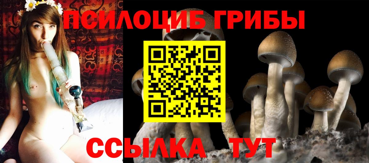 Галлюциногенные грибы Magic Shrooms  Вход с VPN  Энгельс  Псилоцибиновые грибы ЛСД 